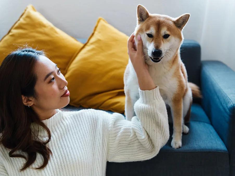 A happy woman pets her dog on her couch