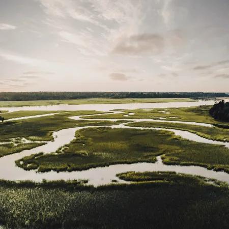 A wide view of Rumney Marsh